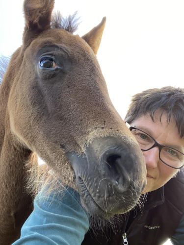 Pferdeosteopathie Akupunktur und mehr in Cuxhaven Stade Bremervörde - ich bin Susa Ich bin Susa