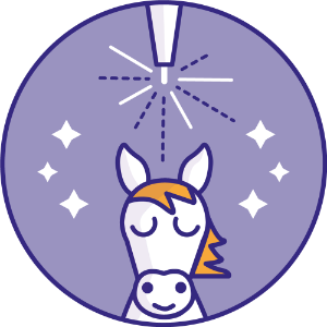 Lasertherapie und Laserakupunktur für Pferde mit dem Bio Medical System Mobile Lasertherapie und Laserakupunktur für Pferde mit dem Bio Medical System