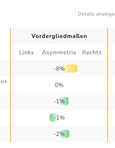 Ganganalyse mit Consteed Hufschuhen Gangparameter