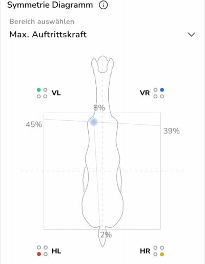 Messung der Auftrittskraft mit Consteed Hufschuhen